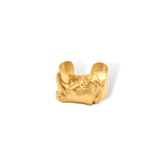 Anillo con cabeza de rinoceronte vista frontal